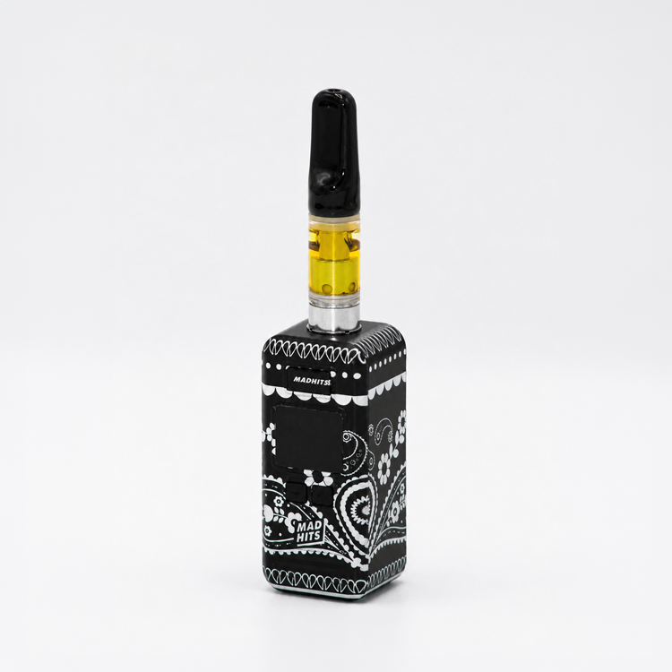 Paisley Bandana — MadHits™ BOXR 510 Battery
